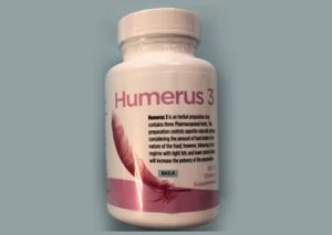 Humerus 3 by Pars Bioscience, LLC